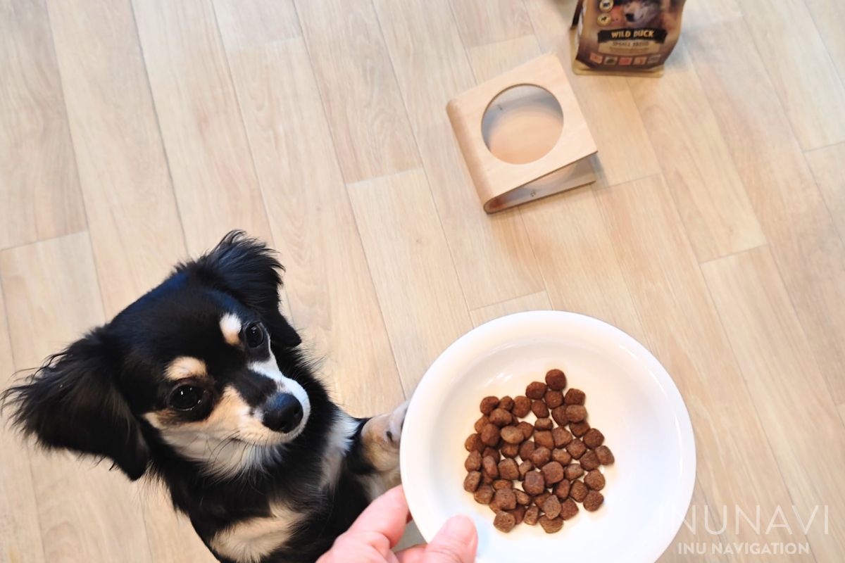 ウルフブラット　ワイルドダック　スモールブリード　ダックとポテトが食べたくて待ちきれない愛犬